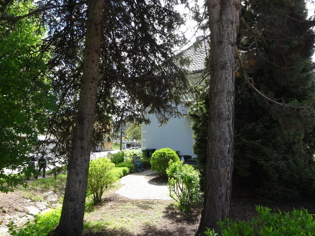 Fritz Apartments Haus Wulfenia Hermagor-Pressegger See Exterior foto